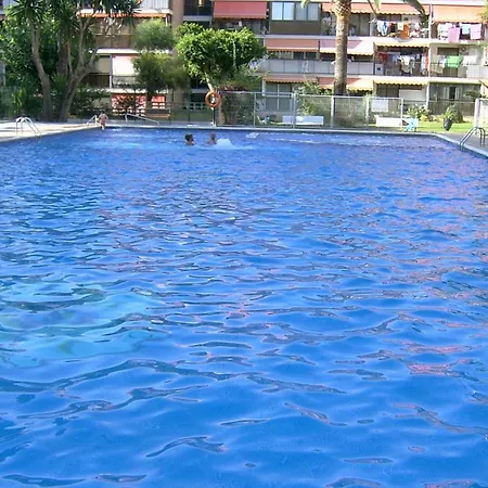 Garden - Turis Plus Apartamentos Benidorm Exterior photo